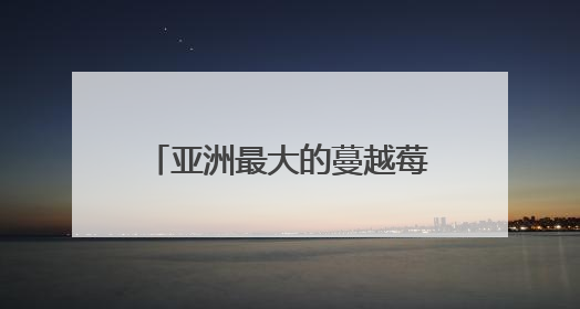 亚洲最大的蔓越莓种植基地亮相第七届黑龙江旅发大会