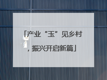 产业“玉”见乡村，振兴开启新篇