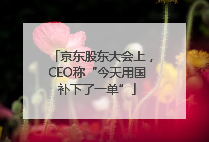 京东股东大会上，CEO称“今天用国补下了一单”