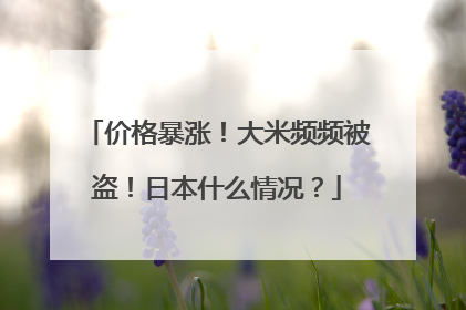 价格暴涨！大米频频被盗！日本什么情况？