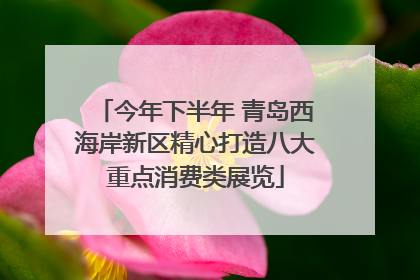 今年下半年 青岛西海岸新区精心打造八大重点消费类展览