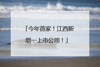 今年首家！江西新增一上市公司！