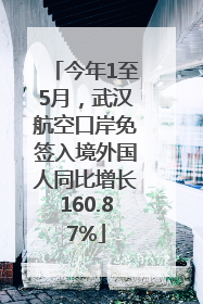今年1至5月，武汉航空口岸免签入境外国人同比增长160.87%