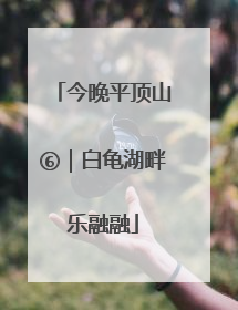 今晚平顶山⑥｜白龟湖畔乐融融