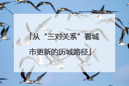 从“三对关系”看城市更新的历城路径