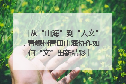 从“山海”到“人文”，看嵊州青田山海协作如何“文”出新精彩