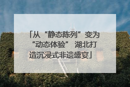 从“静态陈列”变为“动态体验” 湖北打造沉浸式非遗盛宴