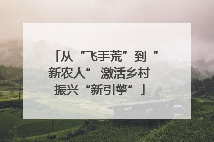 从“飞手荒”到“新农人” 激活乡村振兴“新引擎”
