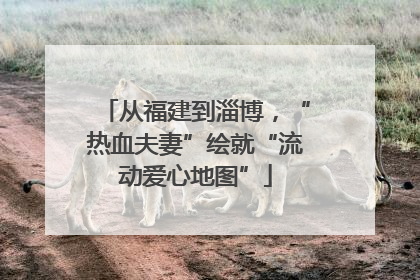 从福建到淄博，“热血夫妻”绘就“流动爱心地图”