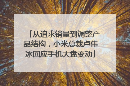从追求销量到调整产品结构，小米总裁卢伟冰回应手机大盘变动