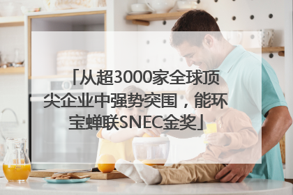 从超3000家全球顶尖企业中强势突围，能环宝蝉联SNEC金奖