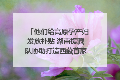 他们给高原孕产妇发放补贴 湖南援藏队协助打造西藏首家高原产儿协同中心