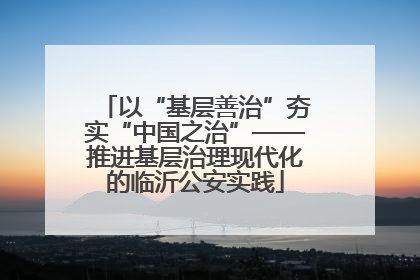 以“基层善治”夯实“中国之治”——推进基层治理现代化的临沂公安实践
