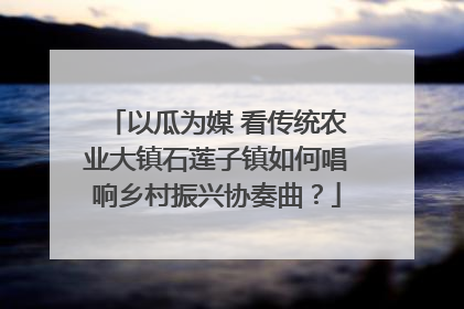 以瓜为媒 看传统农业大镇石莲子镇如何唱响乡村振兴协奏曲？