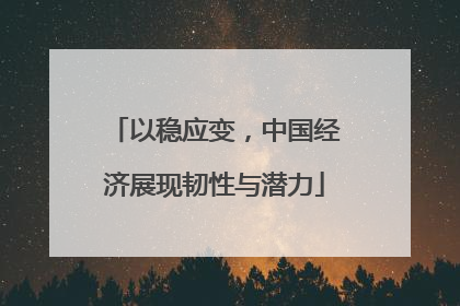 以稳应变，中国经济展现韧性与潜力