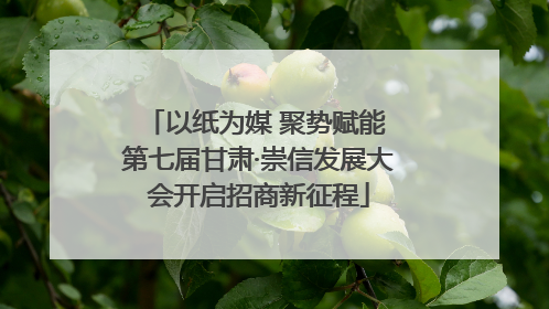 以纸为媒 聚势赋能 第七届甘肃·崇信发展大会开启招商新征程