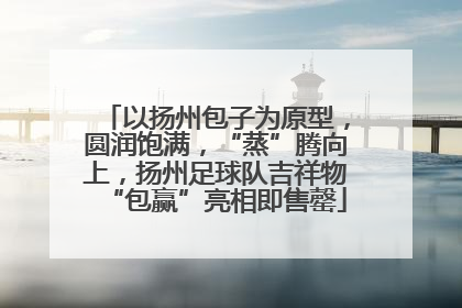 以扬州包子为原型，圆润饱满，“蒸”腾向上，扬州足球队吉祥物“包赢”亮相即售罄