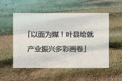 以面为媒！叶县绘就产业振兴多彩画卷