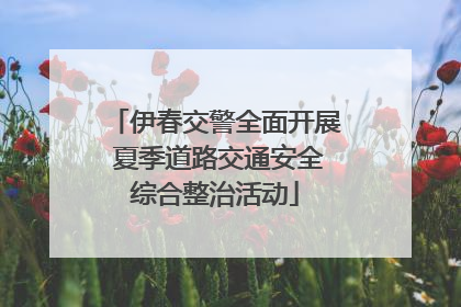 伊春交警全面开展 夏季道路交通安全综合整治活动