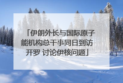 伊朗外长与国际原子能机构总干事同日到访开罗 讨论伊核问题