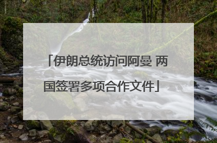 伊朗总统访问阿曼 两国签署多项合作文件