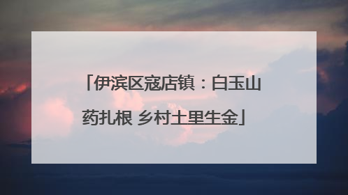 伊滨区寇店镇：白玉山药扎根 乡村土里生金