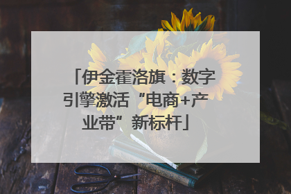 伊金霍洛旗：数字引擎激活“电商+产业带”新标杆