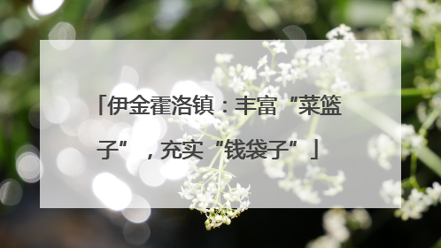 伊金霍洛镇：丰富“菜篮子”，充实“钱袋子”