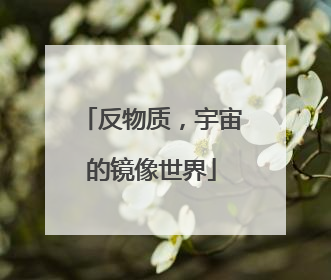 反物质，宇宙的镜像世界