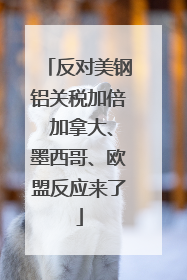 反对美钢铝关税加倍 加拿大、墨西哥、欧盟反应来了