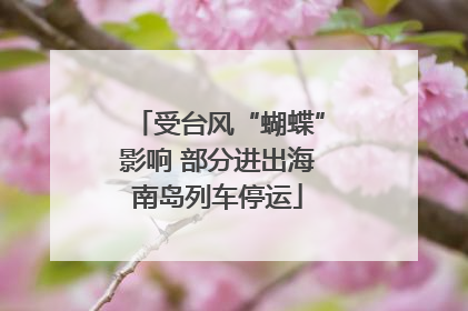 受台风“蝴蝶”影响 部分进出海南岛列车停运