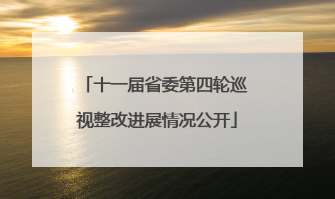 十一届省委第四轮巡视整改进展情况公开