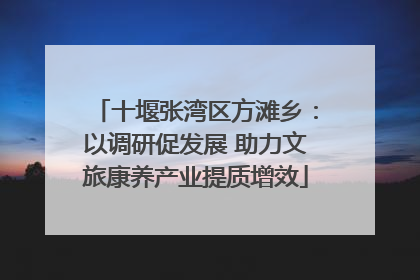 十堰张湾区方滩乡：以调研促发展 助力文旅康养产业提质增效