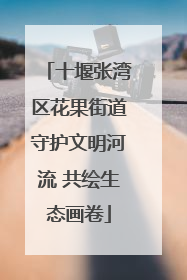 十堰张湾区花果街道守护文明河流 共绘生态画卷