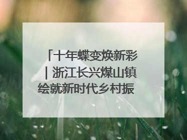 十年蝶变焕新彩｜浙江长兴煤山镇绘就新时代乡村振兴多彩画卷