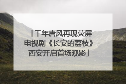 千年唐风再现荧屏 电视剧《长安的荔枝》西安开启首场观影