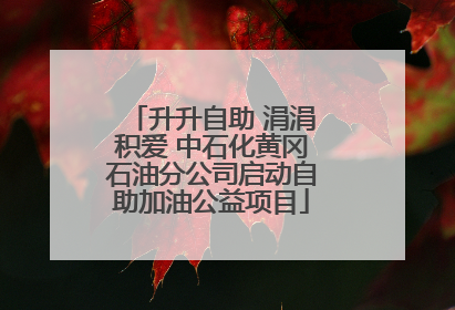 升升自助 涓涓积爱 中石化黄冈石油分公司启动自助加油公益项目