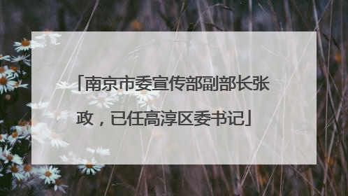 南京市委宣传部副部长张政，已任高淳区委书记