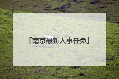 南京最新人事任免