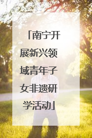 南宁开展新兴领域青年子女非遗研学活动