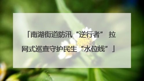 南湖街道防汛“逆行者” 拉网式巡查守护民生“水位线”