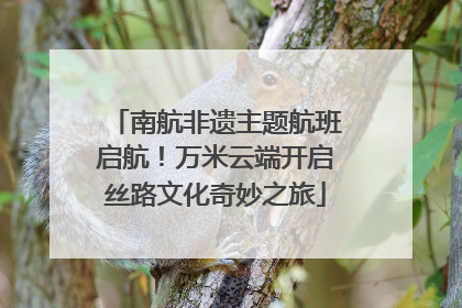 南航非遗主题航班启航！万米云端开启丝路文化奇妙之旅
