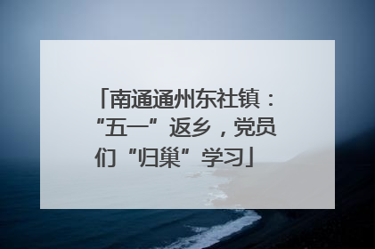 南通通州东社镇：“五一”返乡，党员们“归巢”学习