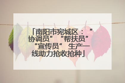 南阳市宛城区：“协调员”“帮扶员”“宣传员” 生产一线助力抢收抢种