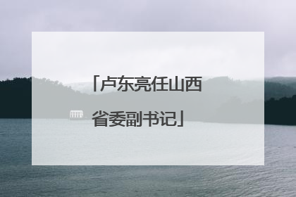 卢东亮任山西省委副书记