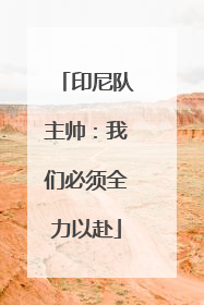 印尼队主帅：我们必须全力以赴