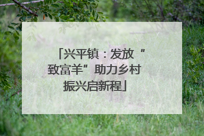 兴平镇：发放“致富羊”助力乡村振兴启新程