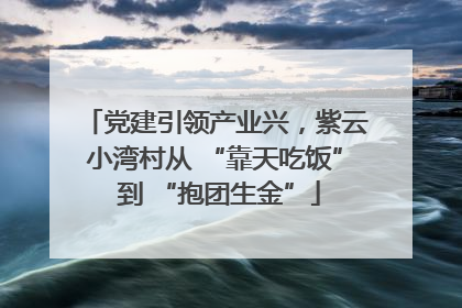 党建引领产业兴，紫云小湾村从 “靠天吃饭” 到 “抱团生金”