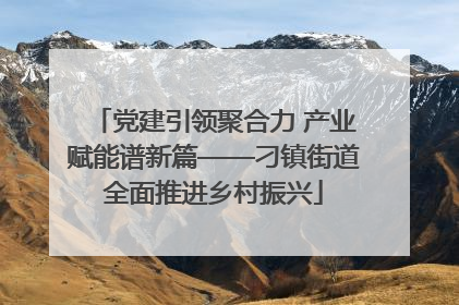 党建引领聚合力 产业赋能谱新篇——刁镇街道全面推进乡村振兴