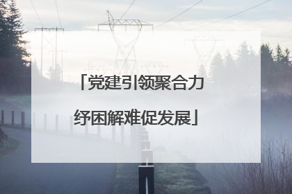 党建引领聚合力 纾困解难促发展